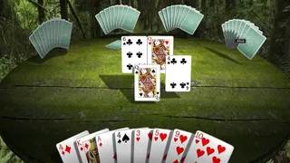 Скриншот 2 к игре Hearts 3D Premium