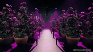 Скриншот 1 к игре Drug Business