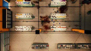 Скриншот 5 к игре WOLF RIOT