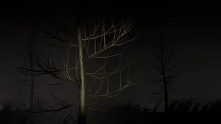 Скриншот 1 к игре Mysterious Night (The First Night)
