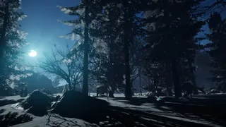 Скриншот 2 к игре First Light