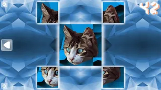 Скриншот 1 к игре Poly Puzzle: Cats