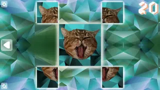 Скриншот 5 к игре Poly Puzzle: Cats