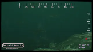 Скриншот 3 к игре Loch Ness