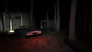 Скриншот 1 к игре Pregnant