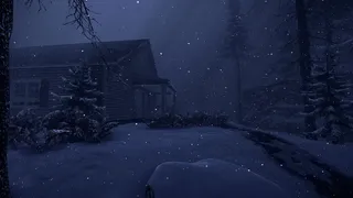 Скриншот 2 к игре Snowstorm of despair