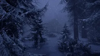 Скриншот 5 к игре Snowstorm of despair