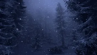 Скриншот 6 к игре Snowstorm of despair