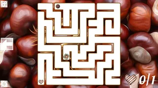 Скриншот 1 к игре Maze Art: Brown