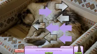 Скриншот 1 к игре I Love Finding MORE Cats