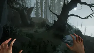 Скриншот 6 к игре Two Falls (Nishu Takuatshina)