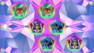 Скриншот 2 к игре Poly Memory: Cats