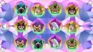Скриншот 3 к игре Poly Memory: Cats