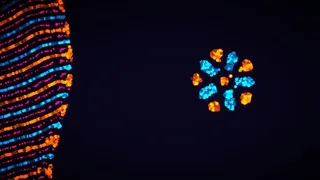 Скриншот 1 к игре Parametric Creature: Lab