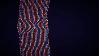 Скриншот 6 к игре Parametric Creature: Lab