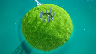 Скриншот 1 к игре Small Island