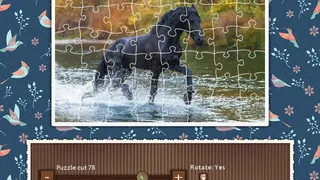 Скриншот 3 к игре 1001 Jigsaw. Earth Chronicles 9