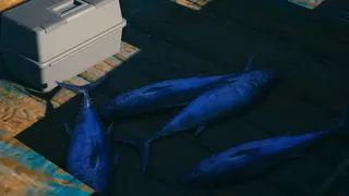 Скриншот 1 к игре Angler's World