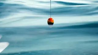 Скриншот 4 к игре Angler's World