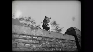 Скриншот 2 к игре Cat Detective Albert Wilde