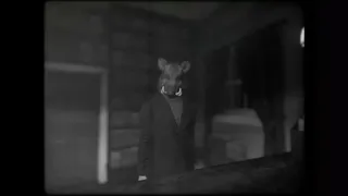 Скриншот 8 к игре Cat Detective Albert Wilde