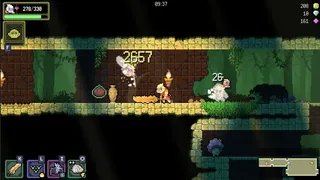 Скриншот 2 к игре Dunjungle