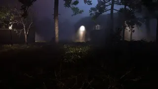 Скриншот 8 к игре Abduction
