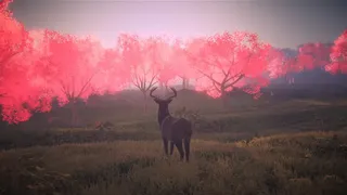 Скриншот 1 к игре Legacy: the last pure heart