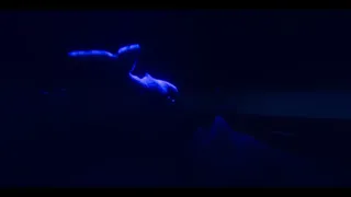 Скриншот 7 к игре Broken
