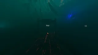 Скриншот 2 к игре Freedom's eye