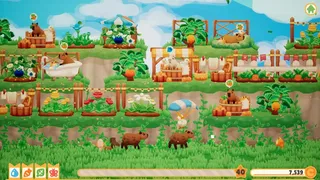 Скриншот 6 к игре Capybara Spa