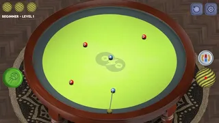 Скриншот 3 к игре Billiards of the Round Table (BRT)