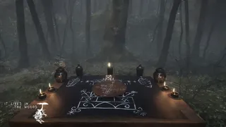 Скриншот 5 к игре ItLivesInTheWoods