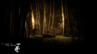Скриншот 7 к игре ItLivesInTheWoods