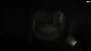 Скриншот 6 к игре Fear of the Dark