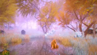 Скриншот 5 к игре Hidden Treasures in the Forest of Dreams