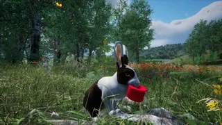 Скриншот 1 к игре Rabbit Meadow