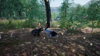Скриншот 4 к игре Rabbit Meadow