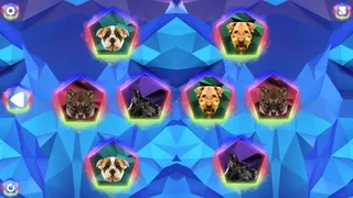 Скриншот 2 к игре Poly Memory: Dogs