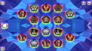 Скриншот 4 к игре Poly Memory: Dogs