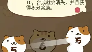 Скриншот 2 к игре cat gathers ten