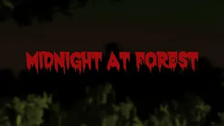 Скриншот 1 к игре Midnight at Forest