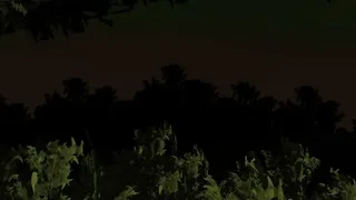 Скриншот 4 к игре Midnight at Forest