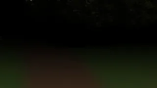 Скриншот 6 к игре Midnight at Forest