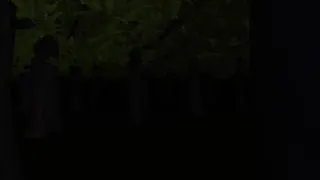 Скриншот 7 к игре Midnight at Forest