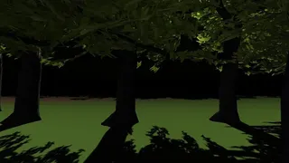 Скриншот 8 к игре Midnight at Forest