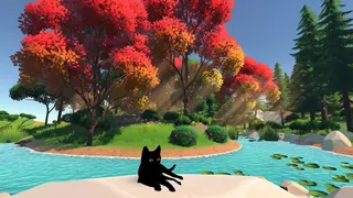 Скриншот 1 к игре The Family Cat