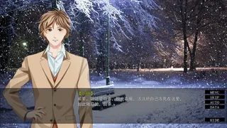 Скриншот 1 к игре 她曾经活过啊