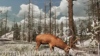 Скриншот 4 к игре The WILDS