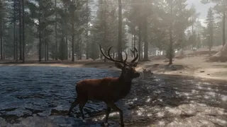 Скриншот 6 к игре The WILDS